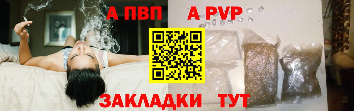 Alfa_PVP VHQ Хасавюрт