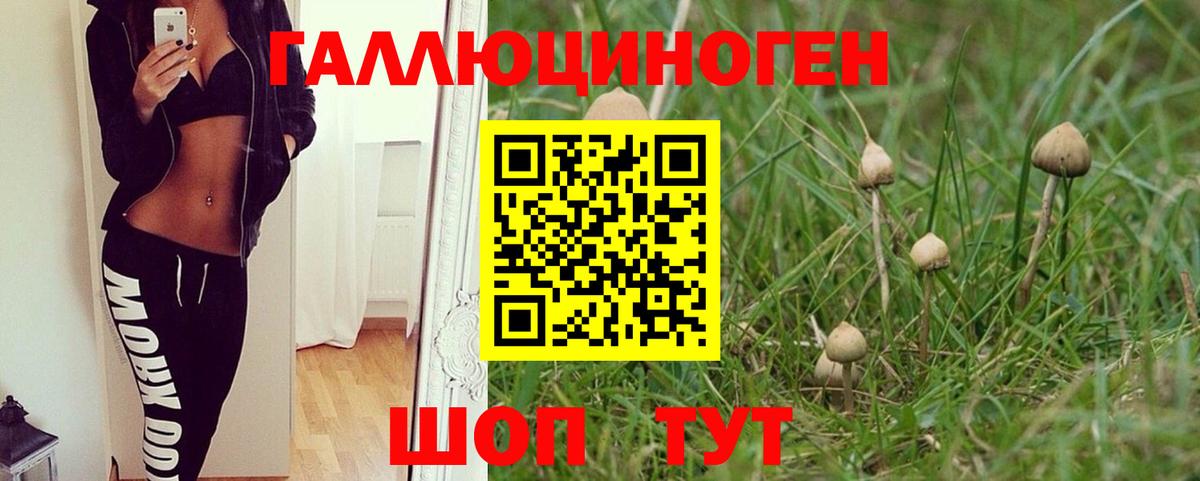 Псилоцибиновые грибы Psilocybine cubensis Хасавюрт